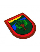 emblema de brazo guarda de campo