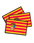 Iron On Embroidered Flag Aragon Spain